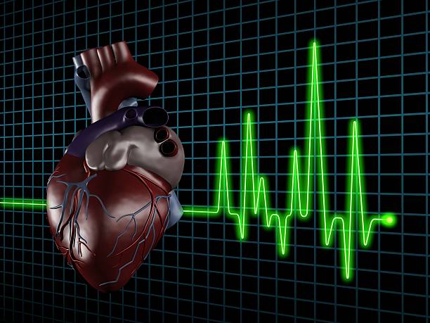 Auscultation of Heart Murmurs A Comprehensive Guide
