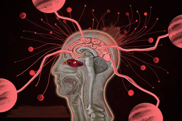 Detecting Subarachnoid Hemorrhage with a Stethoscope A Comprehensive Guide