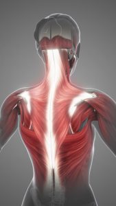 Stethoscope Use in Assessing for Spinal Cord Compression