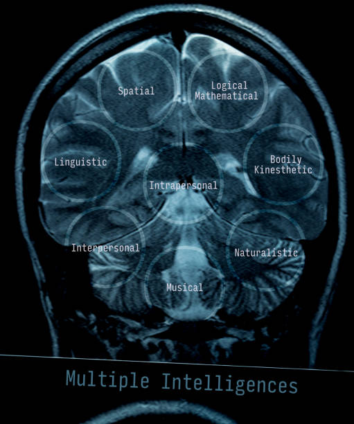 The Role of a Stethoscope in Neurological Exams