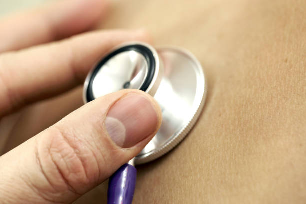 Materials in Acoustic Performance