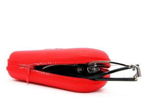 Choosing the Right Accessories Extra Eartips and Carrying Cases for Stethoscopes