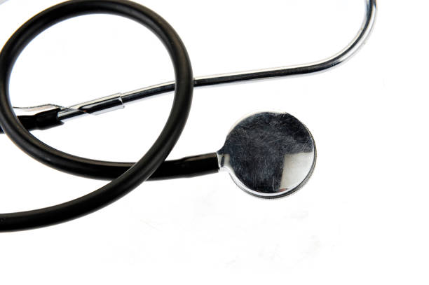 cow print stethoscope