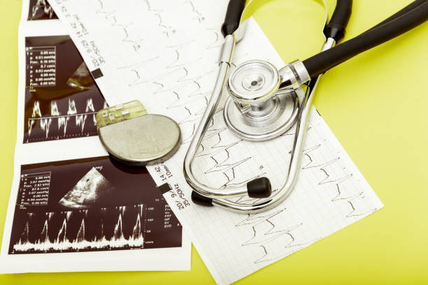 cardiology 4 littmann stethoscope price