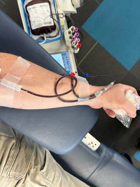 littmann cardiology iv colors