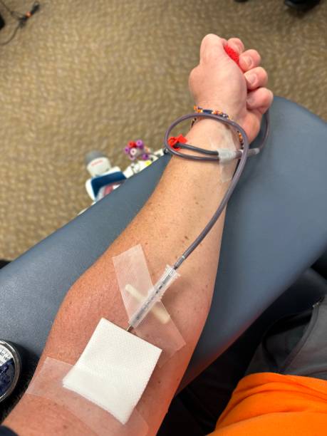 littmann cardiology iv colors