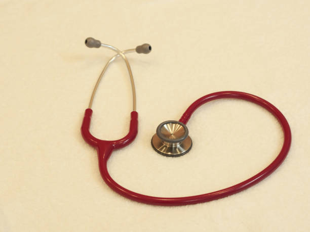 littmann stethoscope personalized
